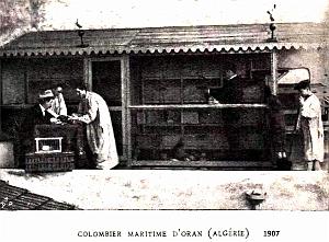 Oran - Colombier Maritime - 1907